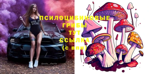 соль курить ск Арсеньев