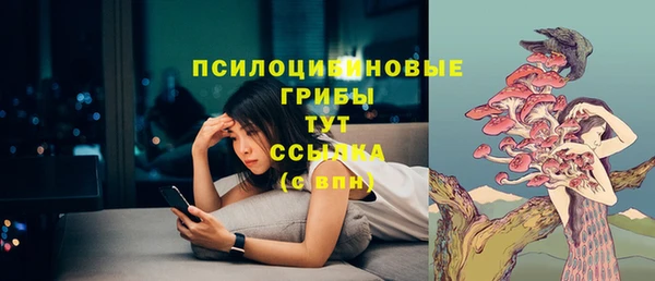 соль курить ск Арсеньев